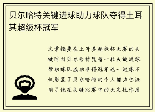 贝尔哈特关键进球助力球队夺得土耳其超级杯冠军